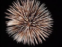 Chrysanthemum Fireworks