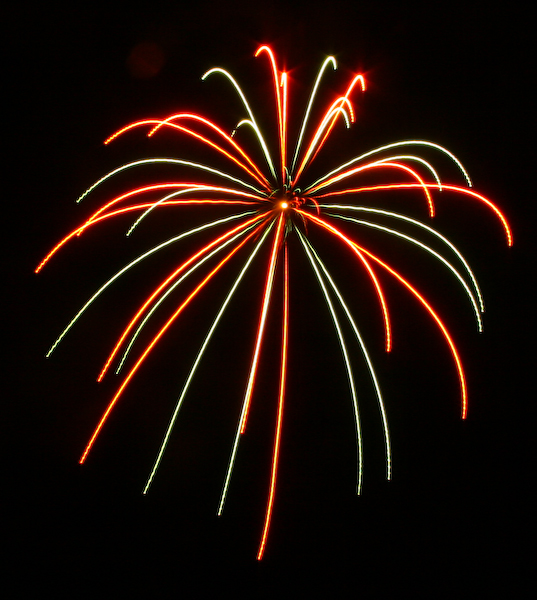 Dahlia Fireworks
